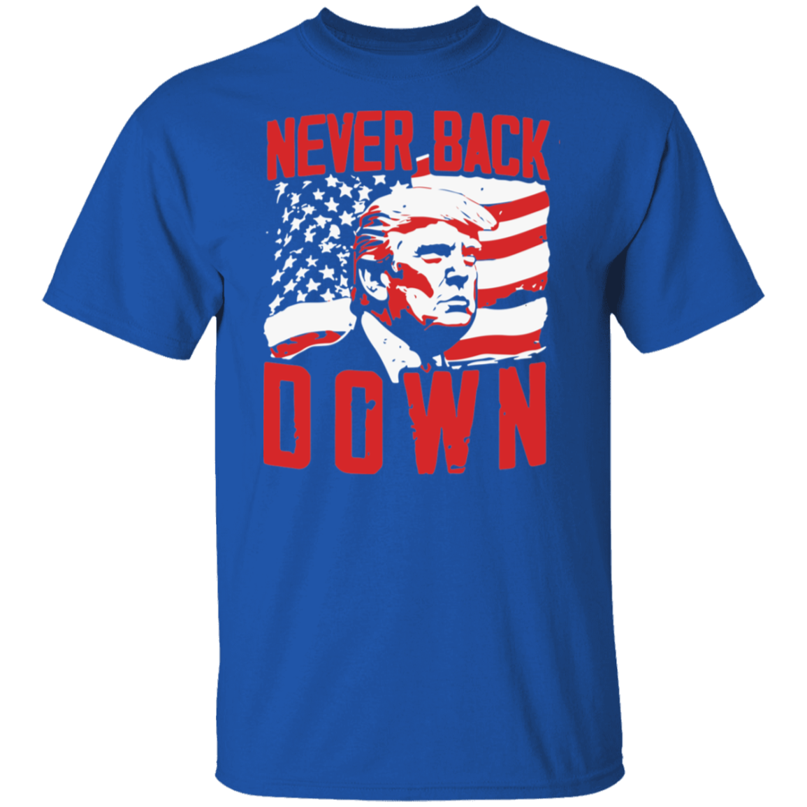 Never Back DOWN