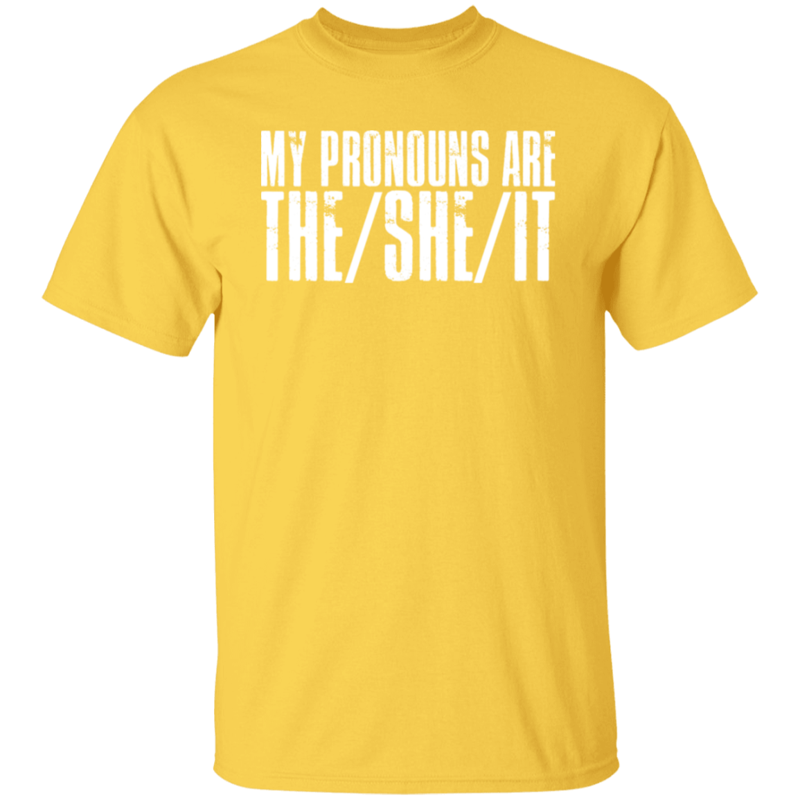 Pronouns Are