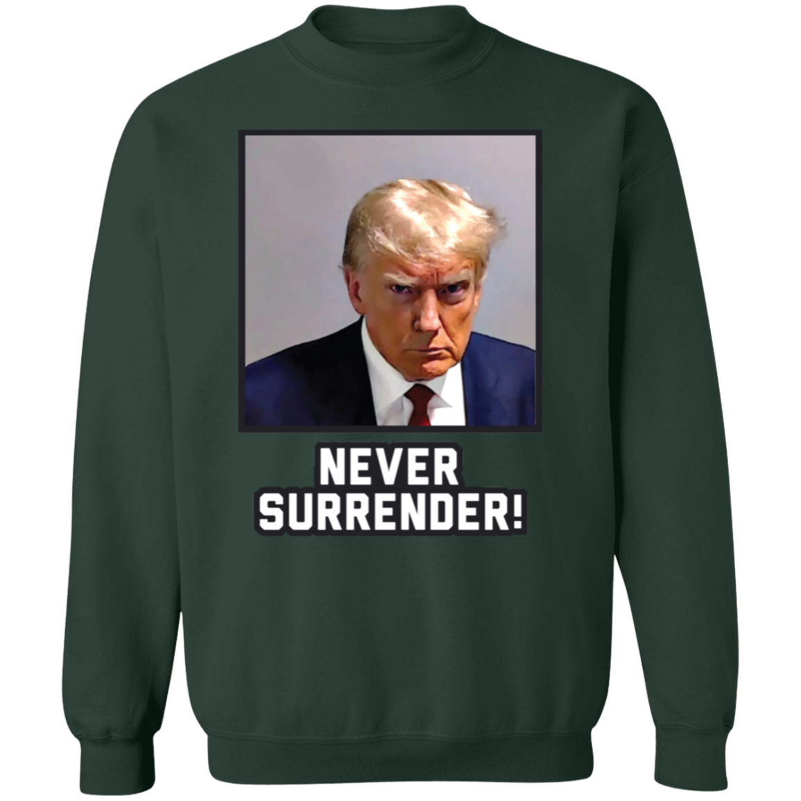 Never Surrender Sweatshirt
