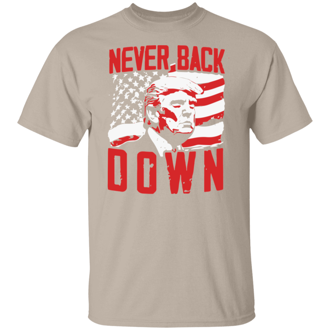 Never Back DOWN